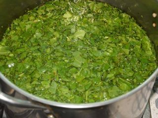 How to preserve sorrel