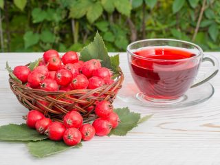 أشجار وشجيرات الزينة: الزعرور السيبيري
