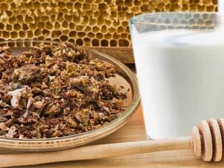 صبغة البروبوليس مع الحليب: الخصائص الطبية وموانع الاستعمال