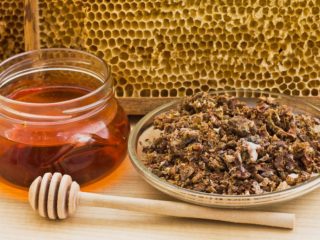 العسل مع دنج: خصائص وموانع مفيدة