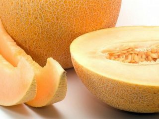 melón piña