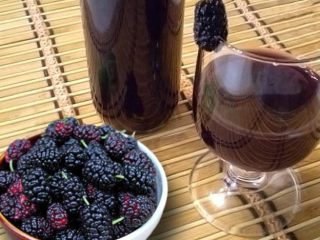 Mulberry doshab, gyógyászati ​​tulajdonságok és vélemények