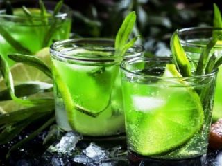 عشب الطرخون (الطرخون): خصائص وموانع مفيدة