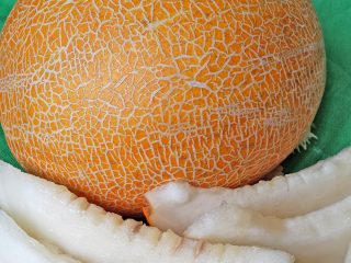 melón cenicienta