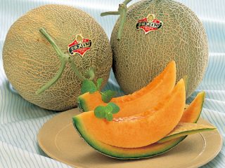 Melón Real Yubari