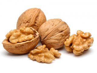 Las mejores variedades de nueces y resistentes a las heladas.