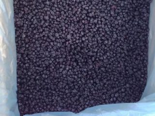 Frozen bird cherry