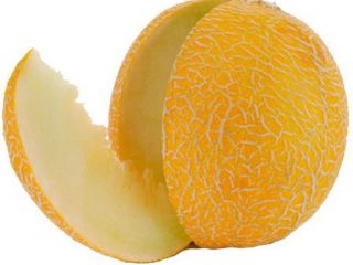Variedades de melón: fotos y nombres.