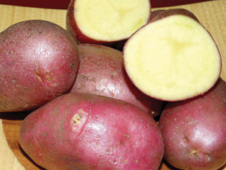 Potatoes Deva: variety description, reviews