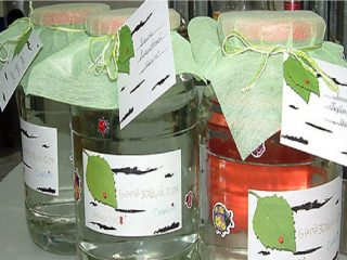 How to preserve birch sap