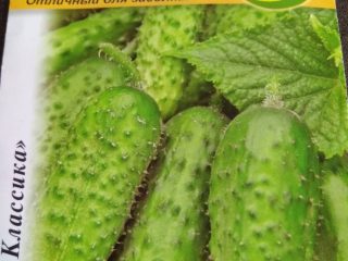 Cucumber Cascade: recenzie + fotografie