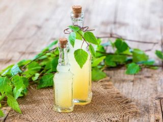 Champagne fra bjørkesaft: 5 oppskrifter