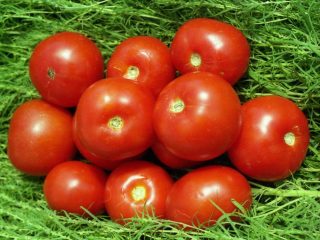 Tomates Volgogradets: descripción de la variedad, fotos, críticas.