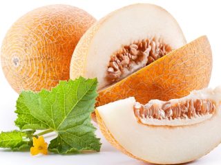 El melón es una baya o fruta.