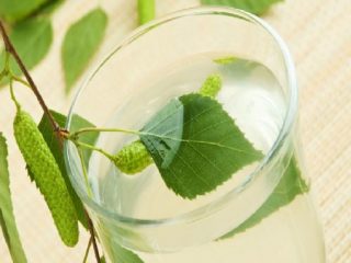 Hjemmebrygg med bjørkesaft: oppskrifter, proporsjoner for måneskinn