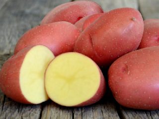 Krasa kentang: penerangan pelbagai, foto