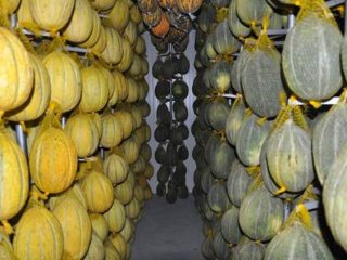 How to preserve melon for the winter