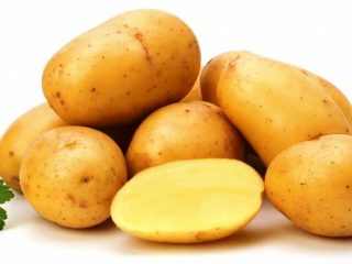 Potato variety Lasunok