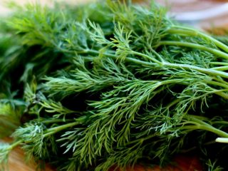 Dill Russian giant: reviews, photos