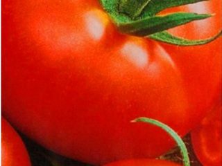 Tomato Alpha: charakteristika a opis odrody