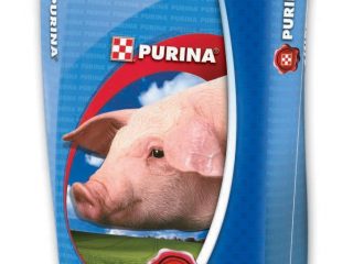 Purina pre ošípané a prasiatka