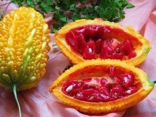 Momórdica: propiedades medicinales