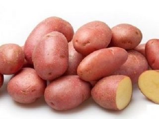 Potato variety Kumach
