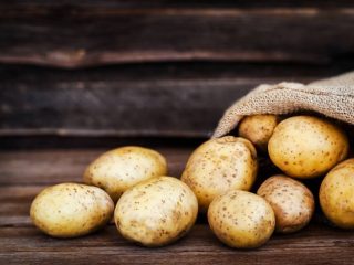 Lorch potato variety: reviews and characteristics