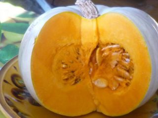 Pumpkin Crumb, Med Crumb: popis a foto