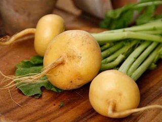 Úroda repy: ako skladovať na zimu