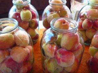 Peaches for the winter: golden recipes