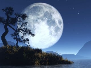 Gardener's lunar calendar for May 2023