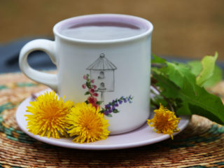 Dandelion root: medicinal properties for oncology, reviews, treatment rules