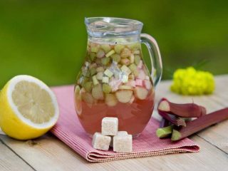Rhubarb kvass: 8 recipes