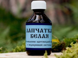 Tinktura cinquefoil: návod na použitie, výhody a škody, čo lieči, recenzie