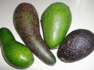 Unde crește avocado și cum arată?