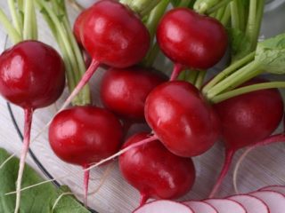 Top dressing of radishes: in a greenhouse, in open ground