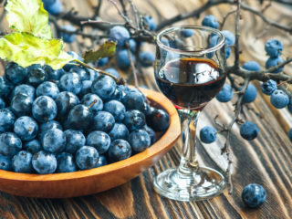 Blueberry liqueur (tincture) at home: 8 recipes