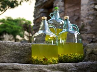 Recetas de licor de grosella casero con y sin vodka