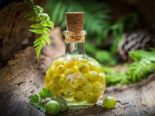 Tintura de grosella con vodka, alcohol, alcohol ilegal: recetas caseras.