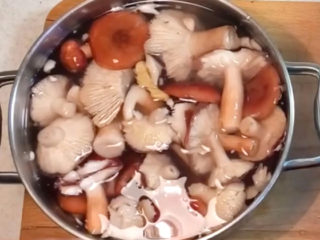 Ako ošúpať a namočiť huby Russula