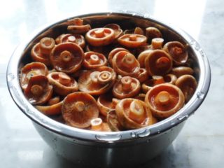 Topi susu kunyit cendawan dan volnushki: perbezaan, foto