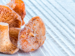 Rebozuelos congelados: cómo cocinar, qué puedes hacer
