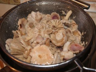 Cuánto tiempo cocinar russula: antes de freír, congelar y salar.