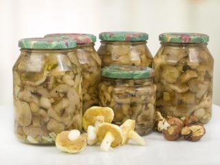 Marinovaný hríb na zimu bez octu (s kyselinou citrónovou): recepty