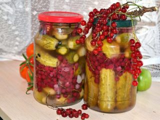 Uhorky s červenými ríbezľami na zimu: recepty s octom a bez octu