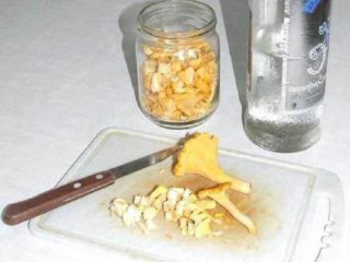 Tintura de rebozuelos: recetas, uso y contraindicaciones.