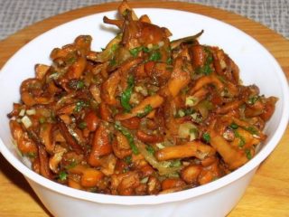 Koreanske kantareller for vinteren