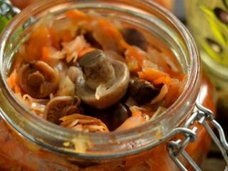Rețete pentru solyanka din capace de lapte de șofran pentru iarnă