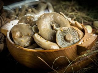 Nakladané náušnice: recept na zimu